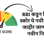 CIBIL SCORE RUIE