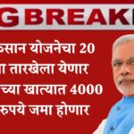 pm kisan status